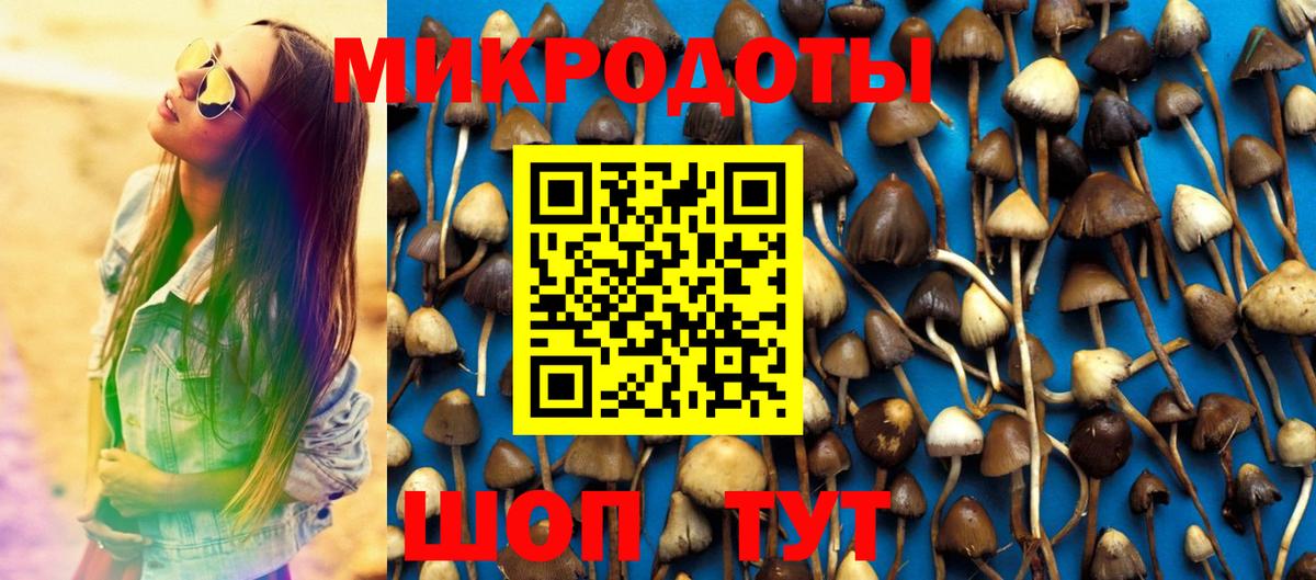Псилоцибиновые грибы мицелий  Вход с VPN  Выборг 
