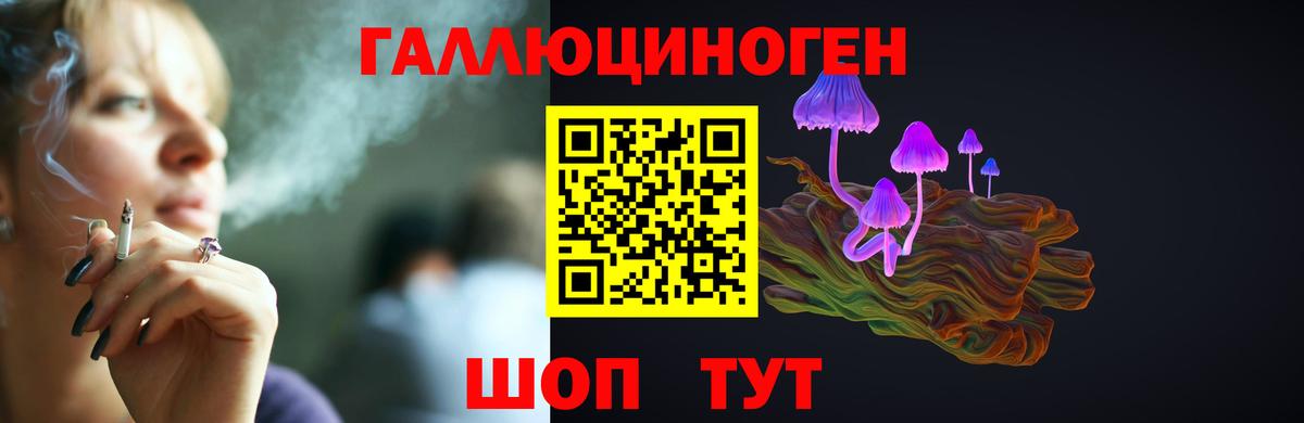 Галлюциногенные грибы Cubensis Выборг